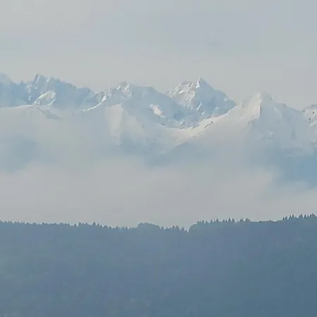 Διαμέρισμα U Jawora