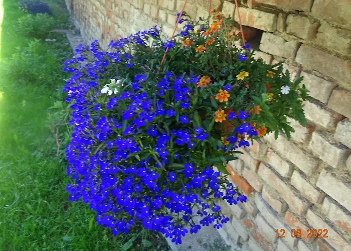 U Jawora Apartament Grywald